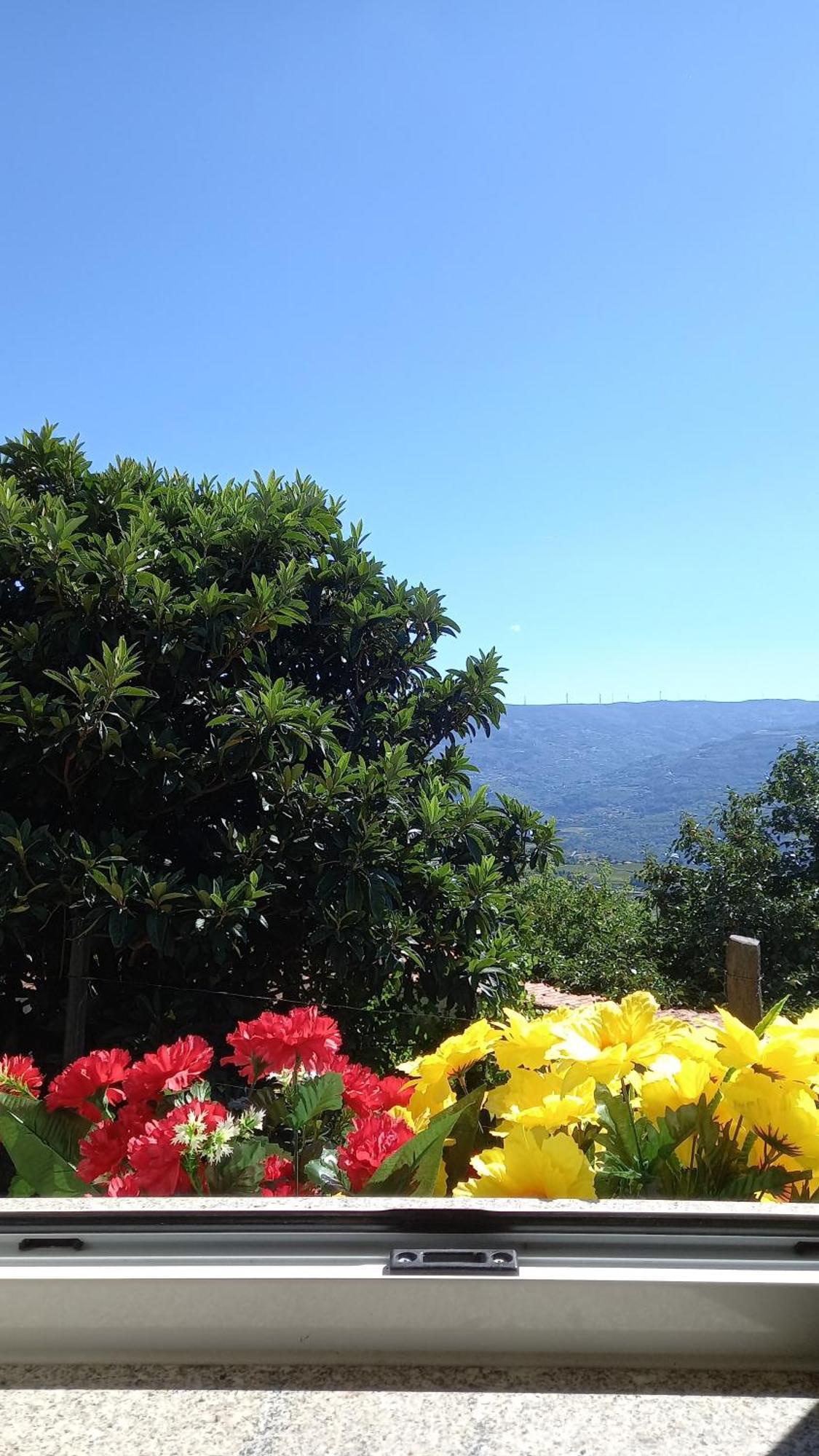 バイアン Quinta Da Casa Grande Pinheiroゲストハウス エクステリア 写真