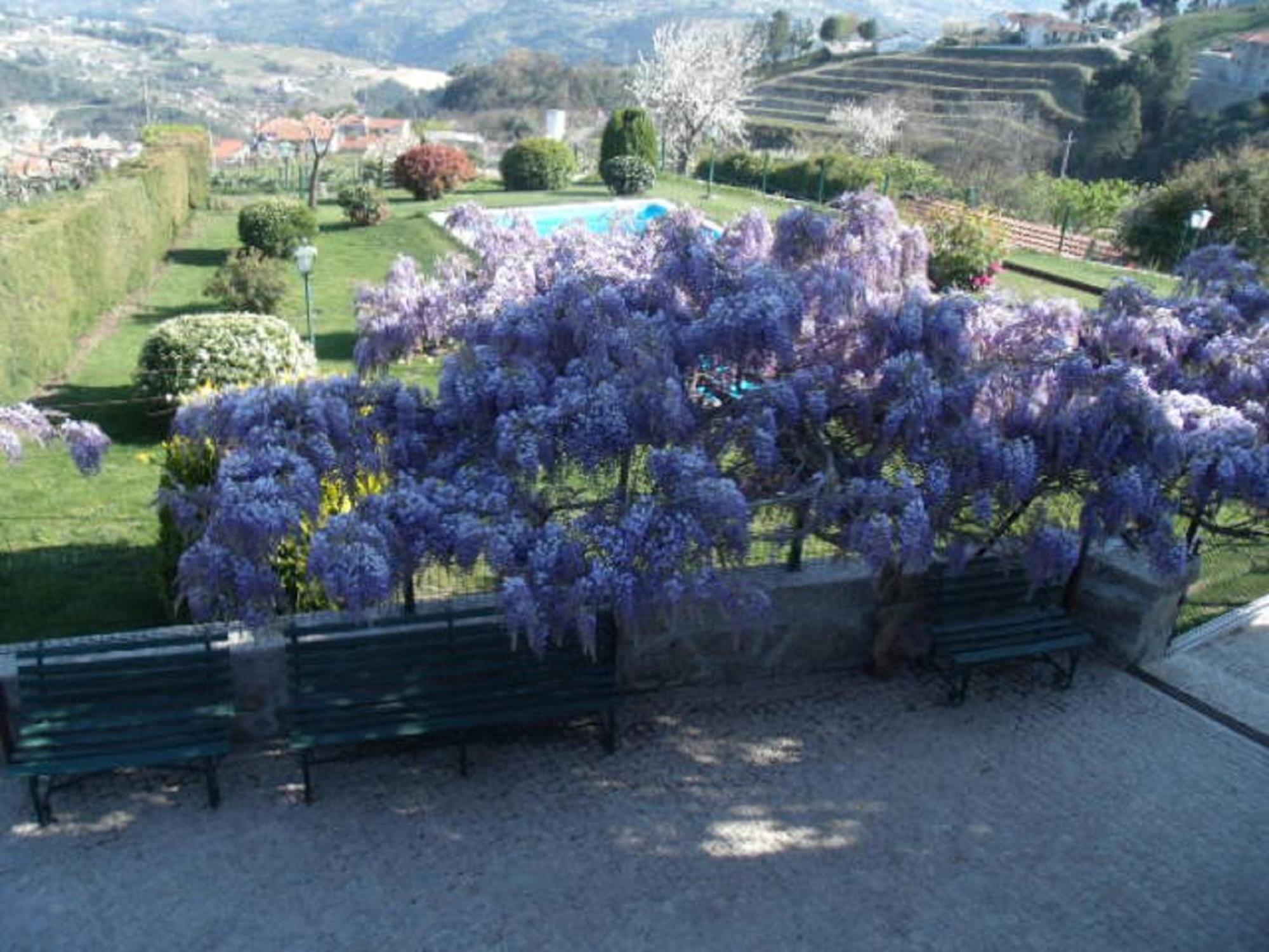 バイアン Quinta Da Casa Grande Pinheiroゲストハウス エクステリア 写真