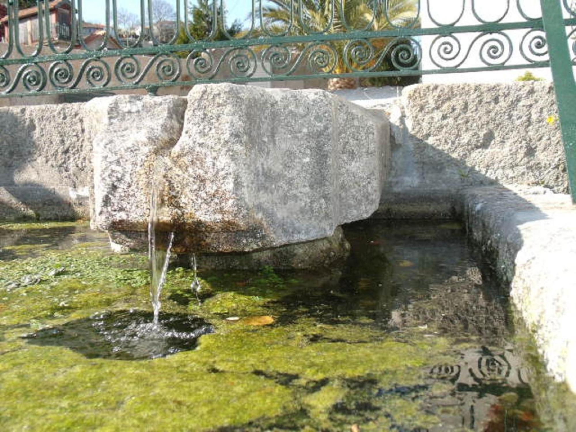 バイアン Quinta Da Casa Grande Pinheiroゲストハウス エクステリア 写真